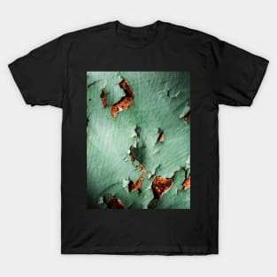 Cool turquoise brown rusty metal T-Shirt